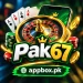 Pak67 Game
