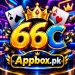 66c Game