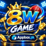8W Game