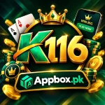 K116 Game