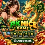 Pknice Game